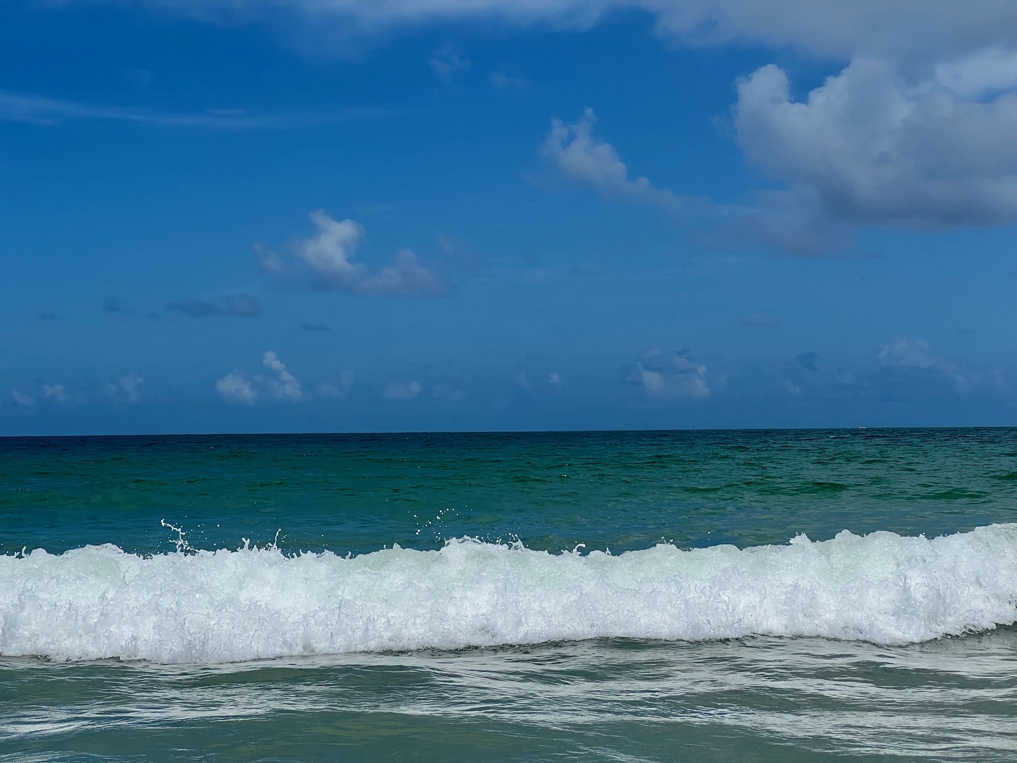 Kayak Tours at St Lucie Inlet Preserve State Park | Paddle With Me ...