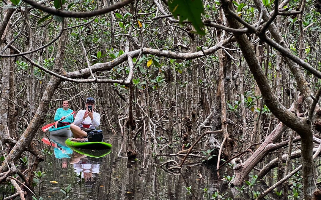 Bring Your Own Kayak or Paddleboard Guided Tours