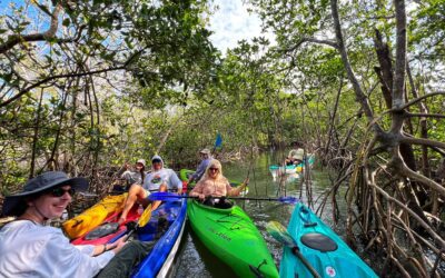 Guided Kayak Eco Tour Christmas Vacation in Stuart
